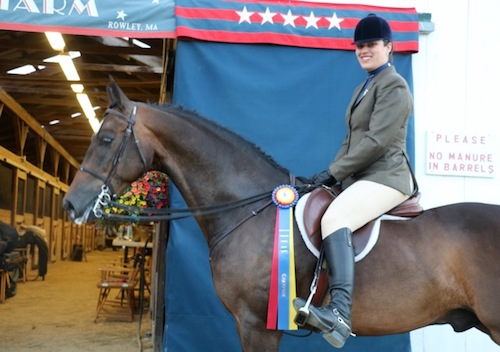 Clay wins Championship at Seacoast Morgan/Open Horse Show in Deerfield 